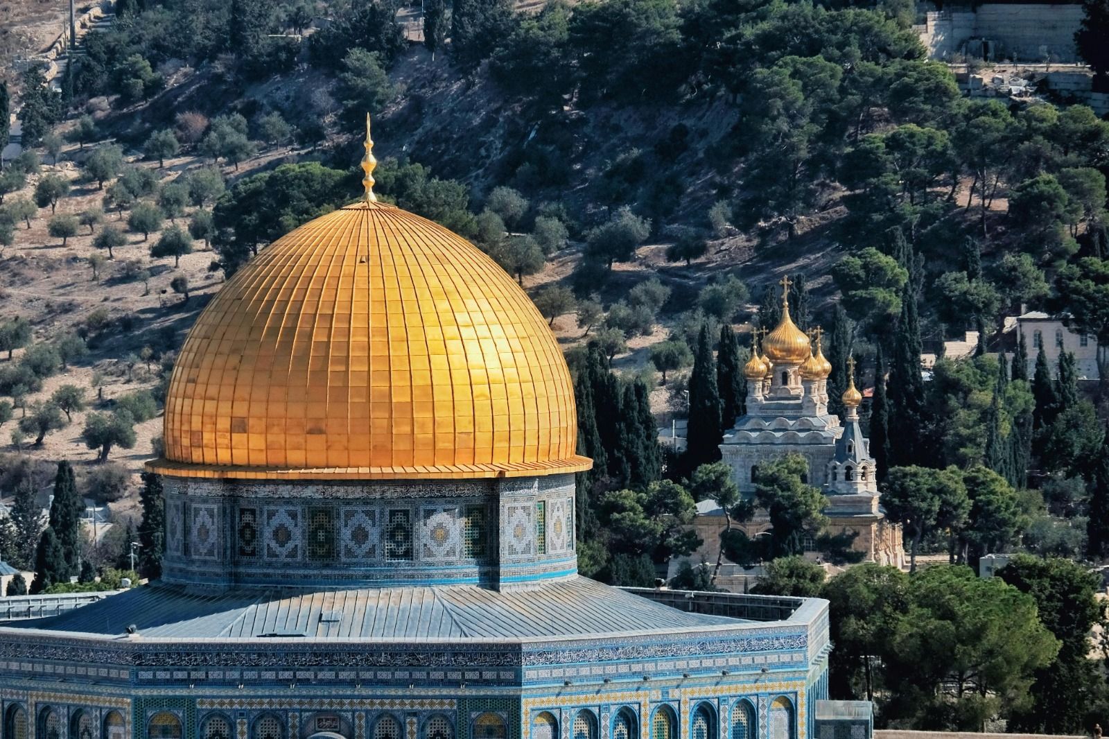 خلفية أكاديمية طوفان الوعي
